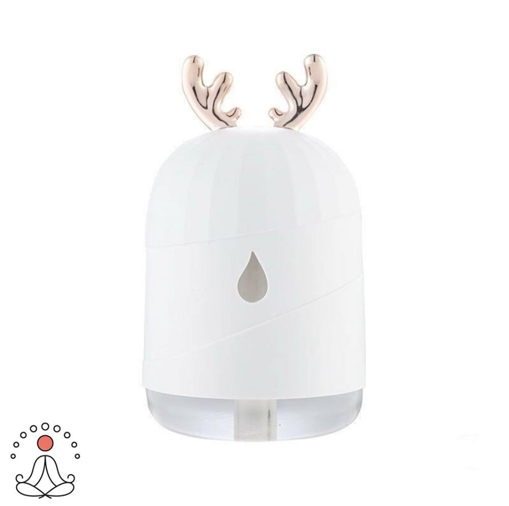 Humidificateur d'Air