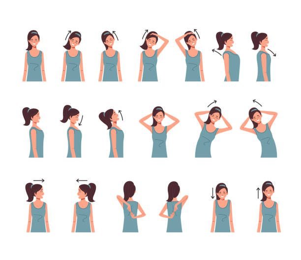 Exercices cou
