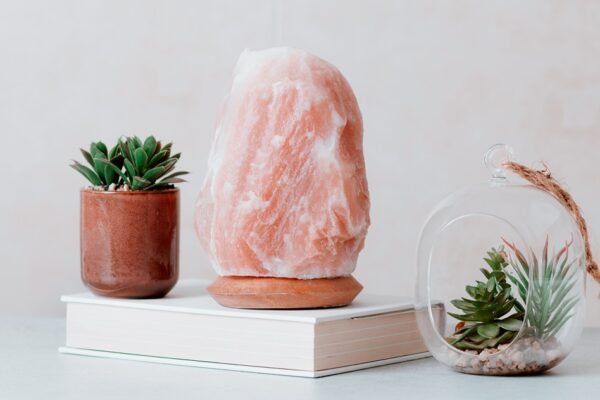 lampe de sel de l'Himalaya sur table maison