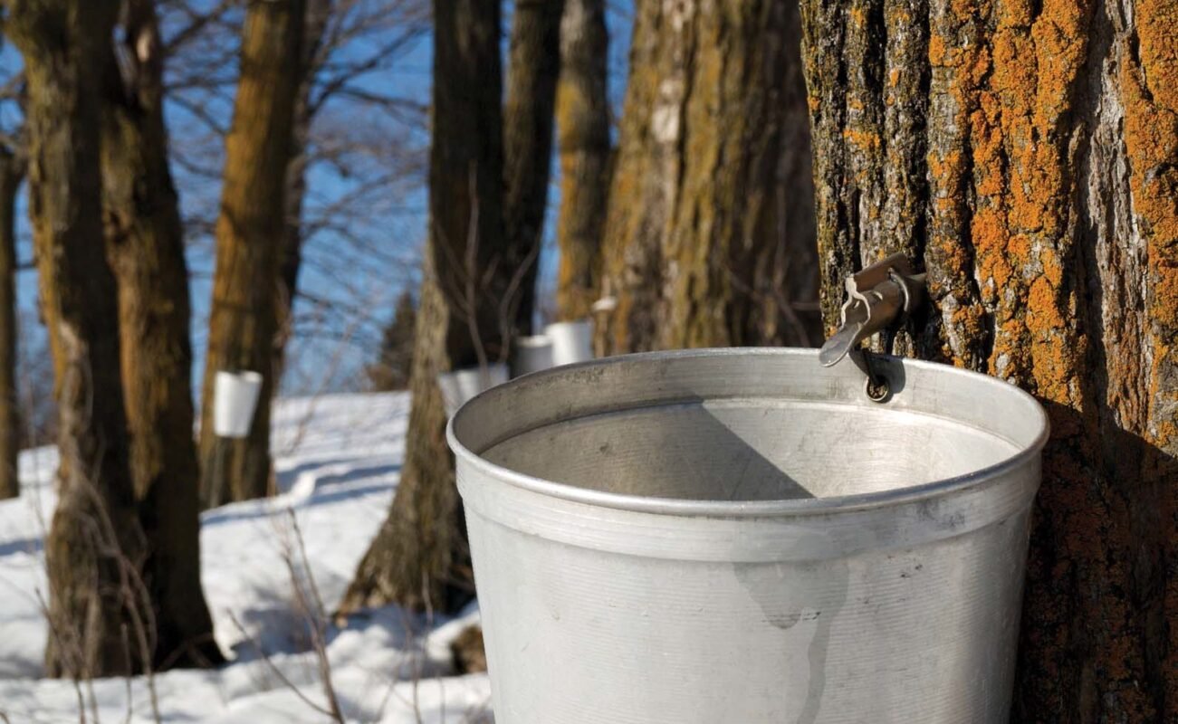 bidon eau d'érable