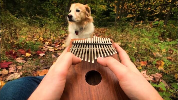 kalimba
